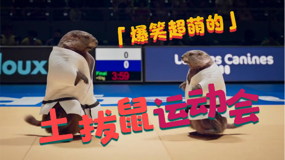 土拨鼠运动会,就是那么萌,法国超萌动画广告