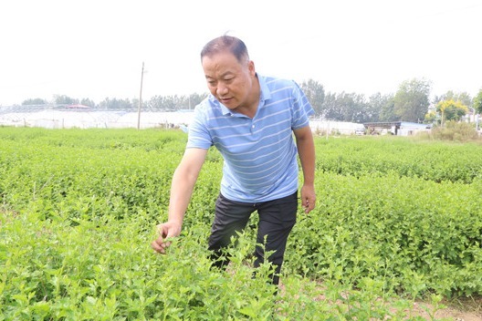 宁陵县程楼乡胡庄村“驻村第一书记”——刘卫东