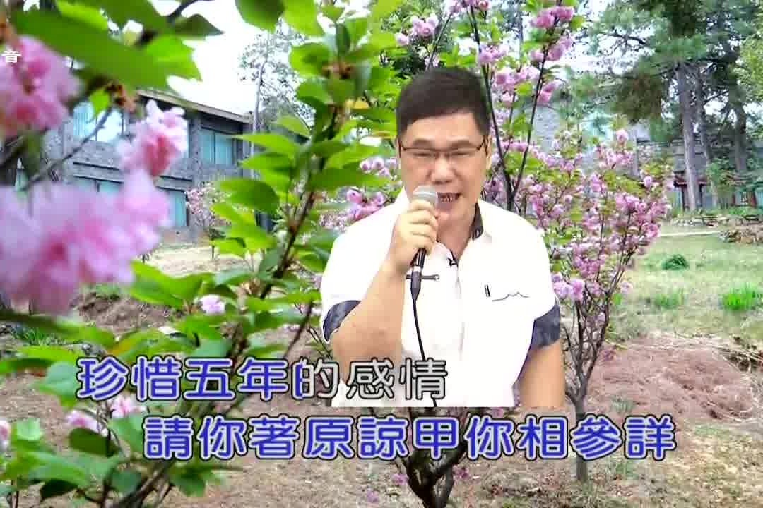 带你一起听好歌 翻唱歌曲 红灯码头