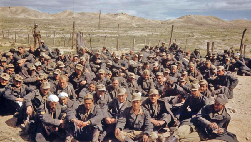 非洲军团老兵克莱因的二战经历