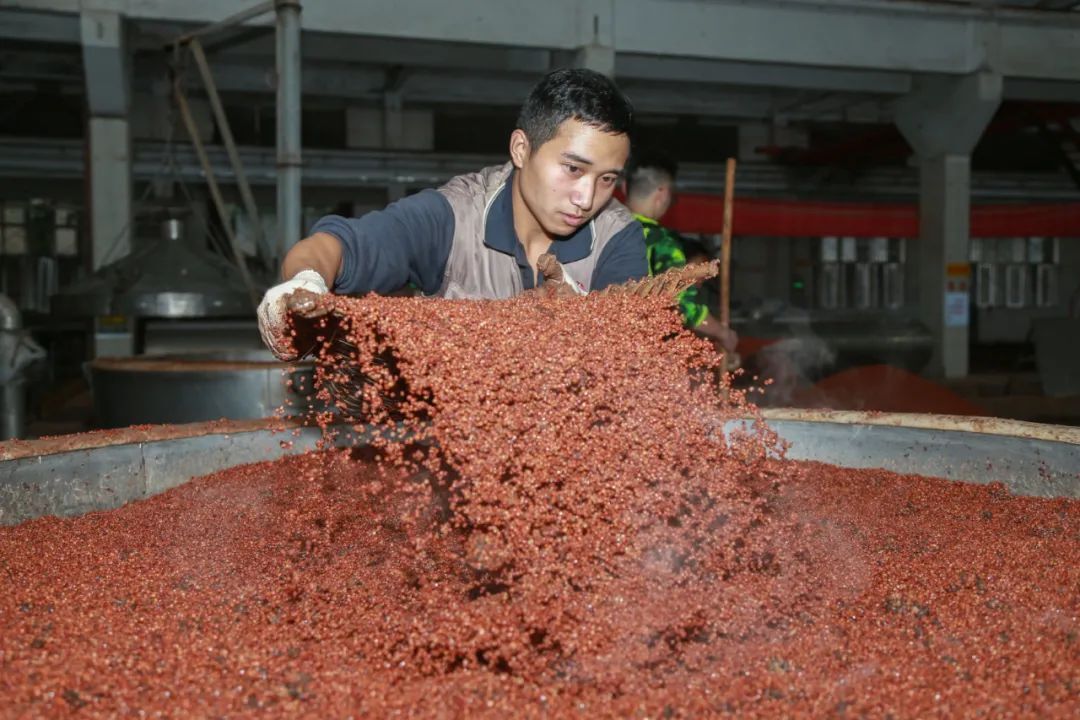 都说茅台重阳"下沙",下的到底是什么"沙"?_凤凰网