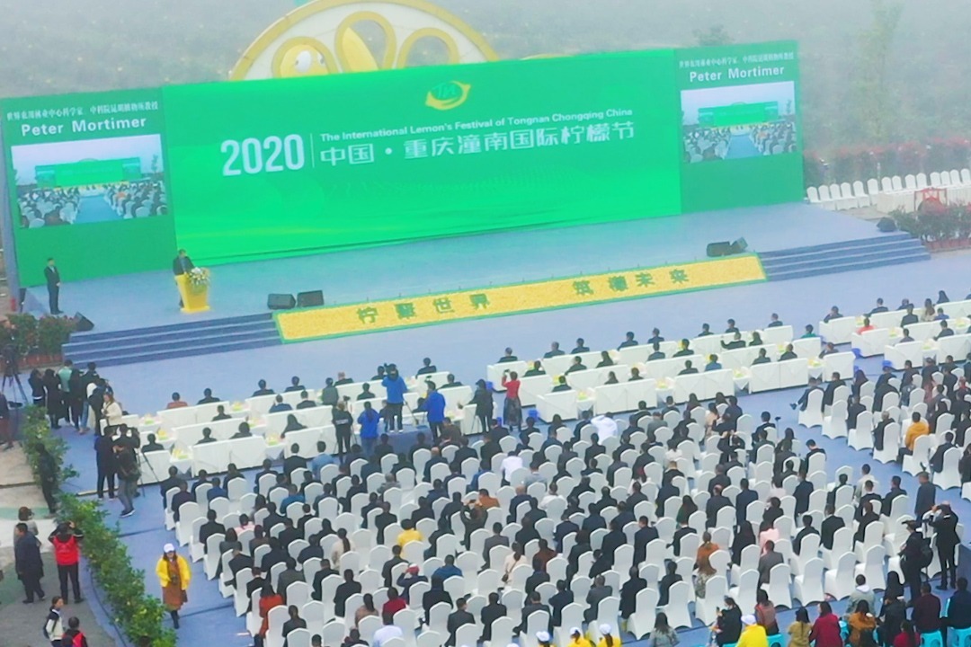 视频丨2020中国·重庆潼南国际柠檬节正式开幕