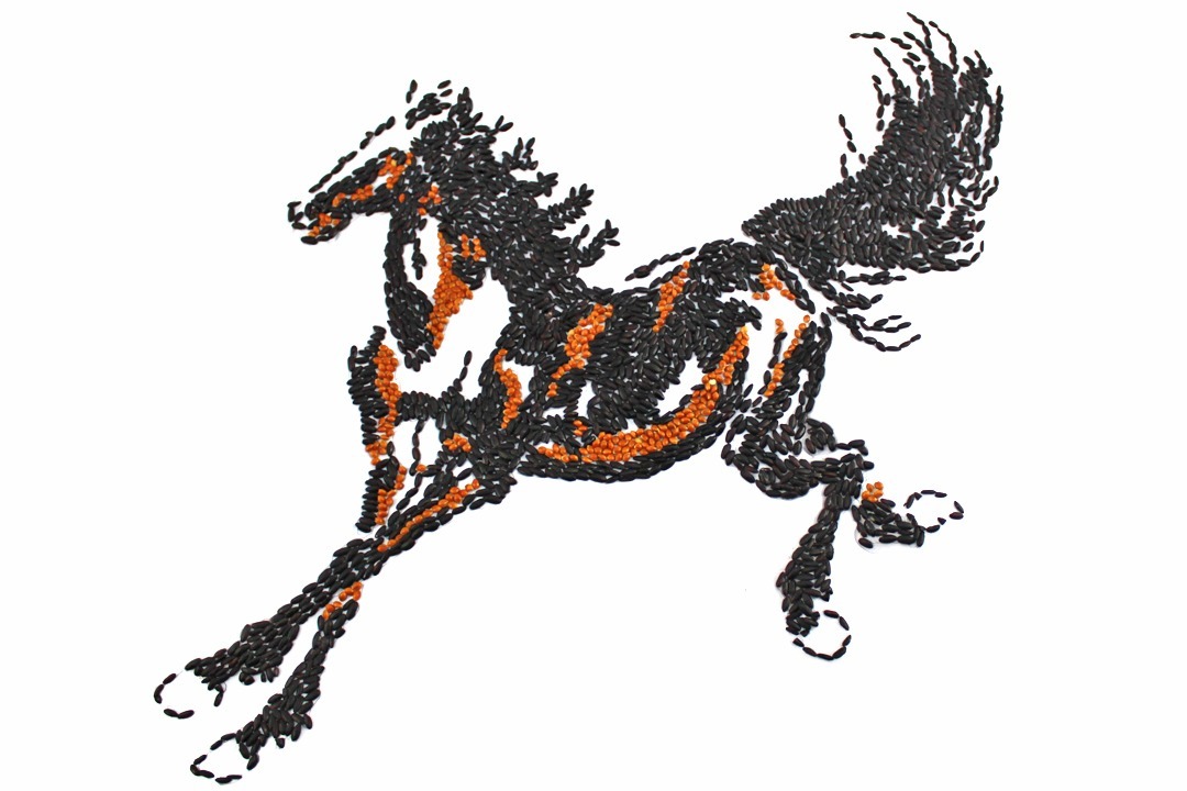 种子绘画也能做出如此奔跑中的骏马，种子工艺作品展示-马到成功