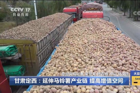甘肃定西：延伸马铃薯产业链 提高增值空间