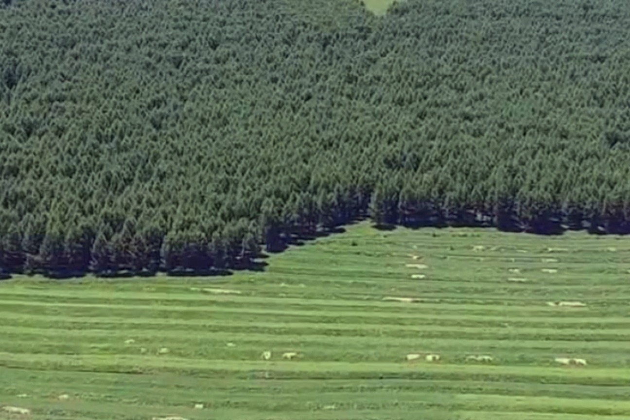 航拍张家口草原天路，海拔一千以上，风车特别好看