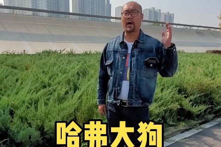 哈弗大狗经历了哪些地狱般的可靠性测试