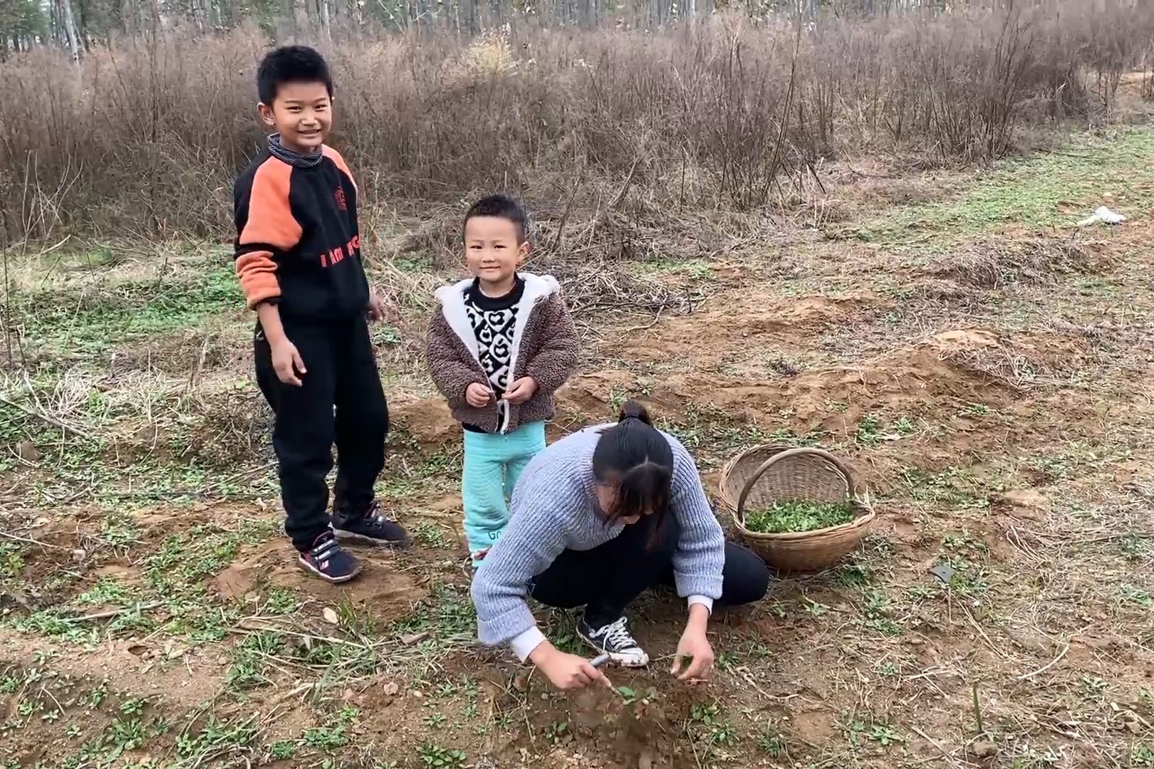 俩儿子今天没上学，妈妈带他们去挖荠荠菜，俩儿子可是非常的高兴