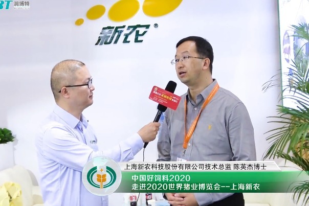 2020李曼养猪大会采访新农科技术总监陈英杰