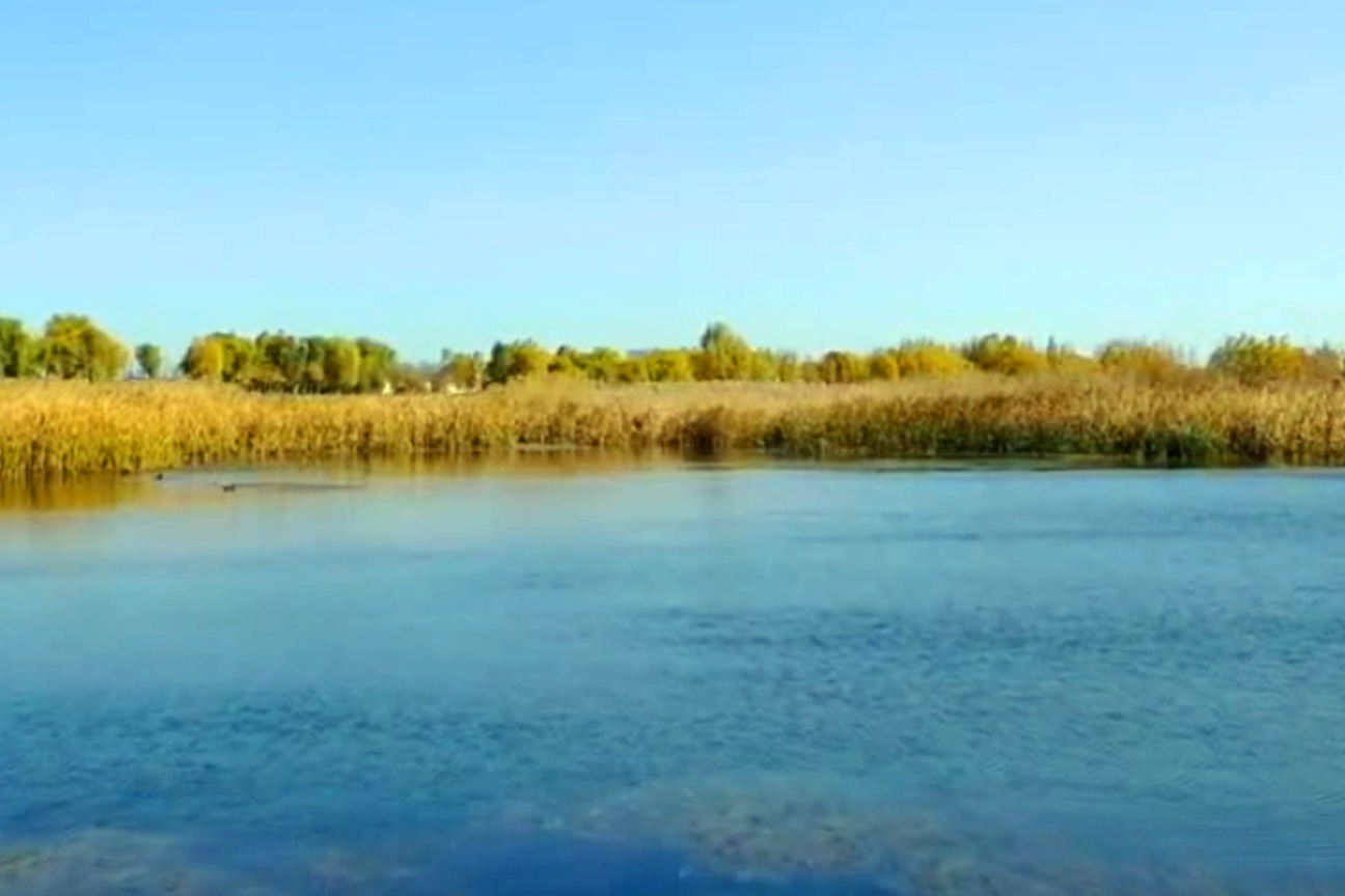 呼和浩特，南湖湿地公园，秋景航拍