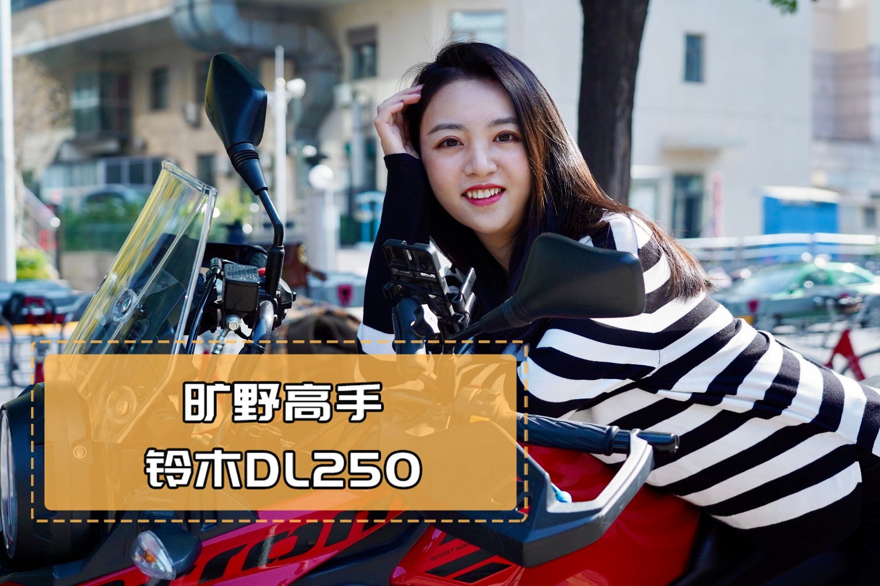 旷野高手 铃木DL250