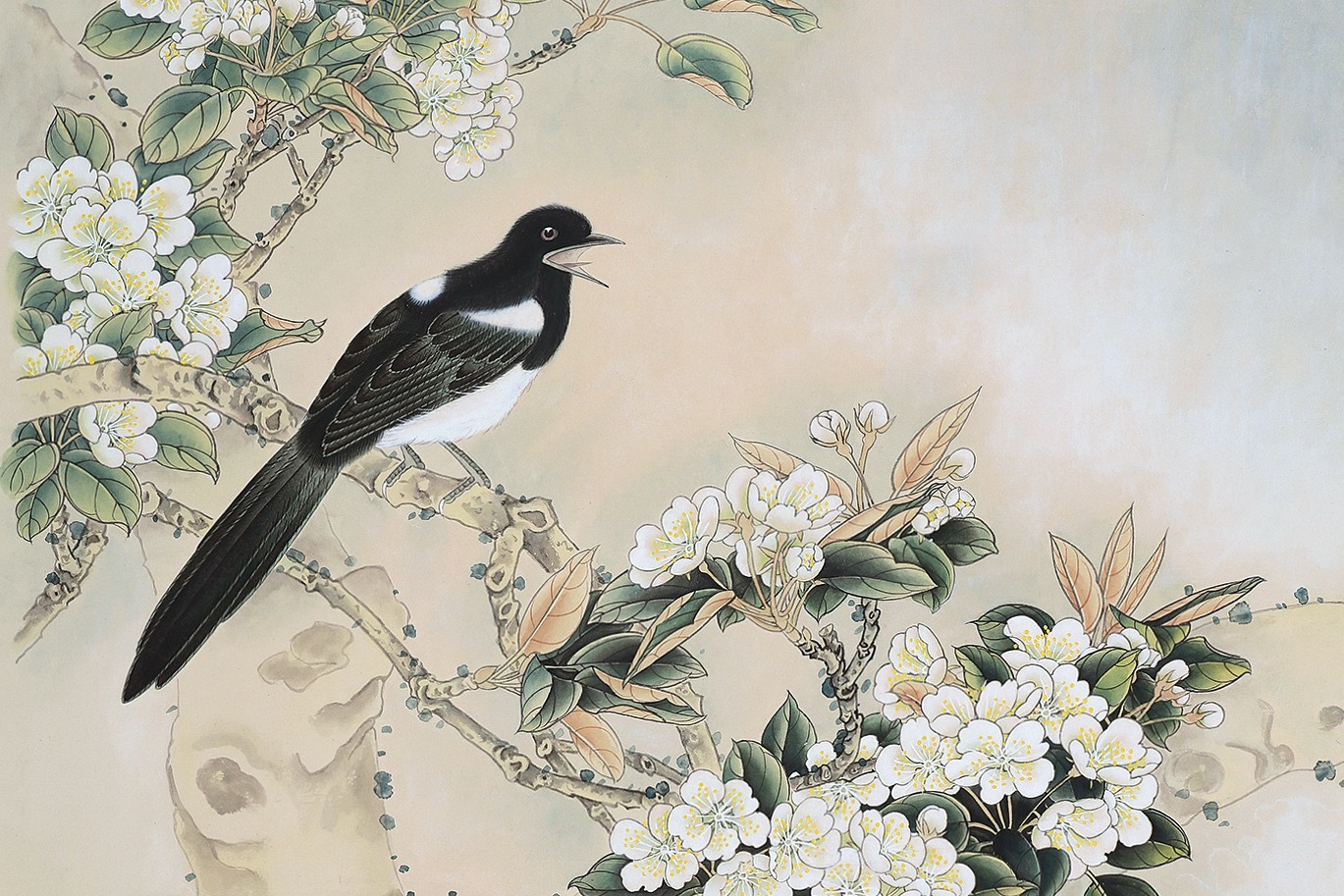 画家龚文祯花鸟画梨花山翁欣赏