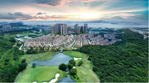 南沙湾熙园发现具有"水中大熊猫"之称的世界级濒危物种桃花水母