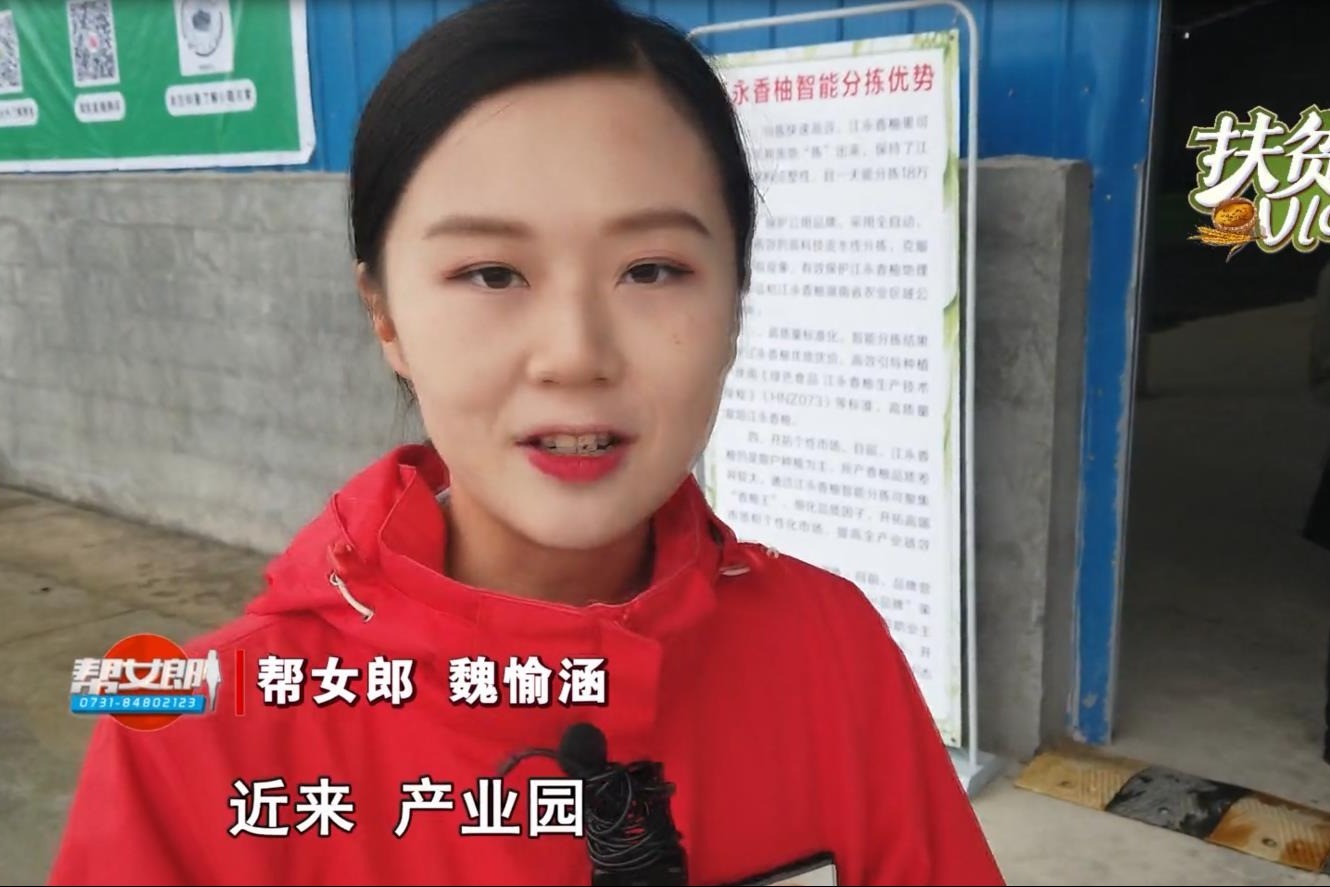 江永香柚熟了，又大又甜，好吃到根本停不下来