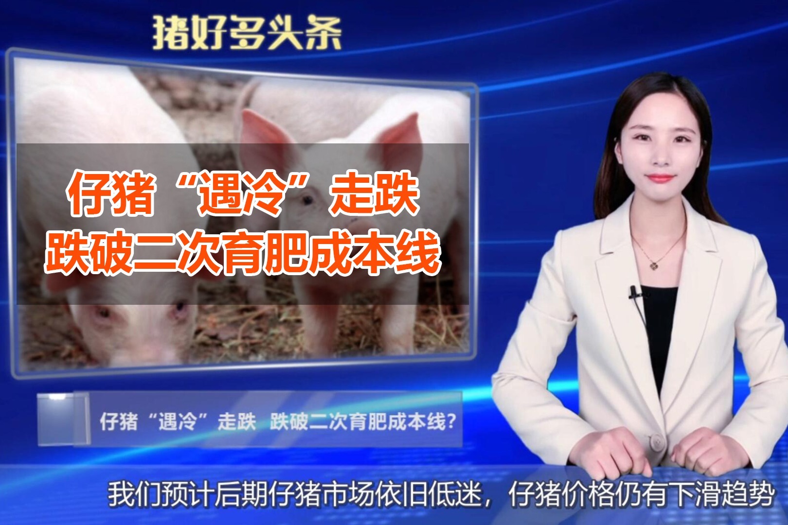 仔猪“遇冷”走跌，跌破二次育肥成本线？专家：外购仔猪需谨慎！