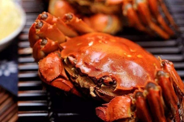 17岁女生研究大闸蟹，获顶尖科学家大会颁奖的背后