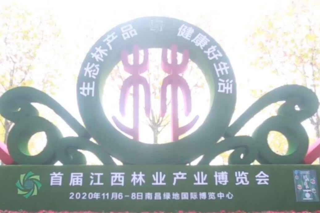 Vlog|两分钟带你了解首届江西林业产业博览会
