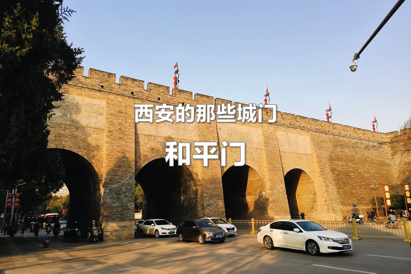 金灿灿的守护景区员工用银杏叶表白西安城墙