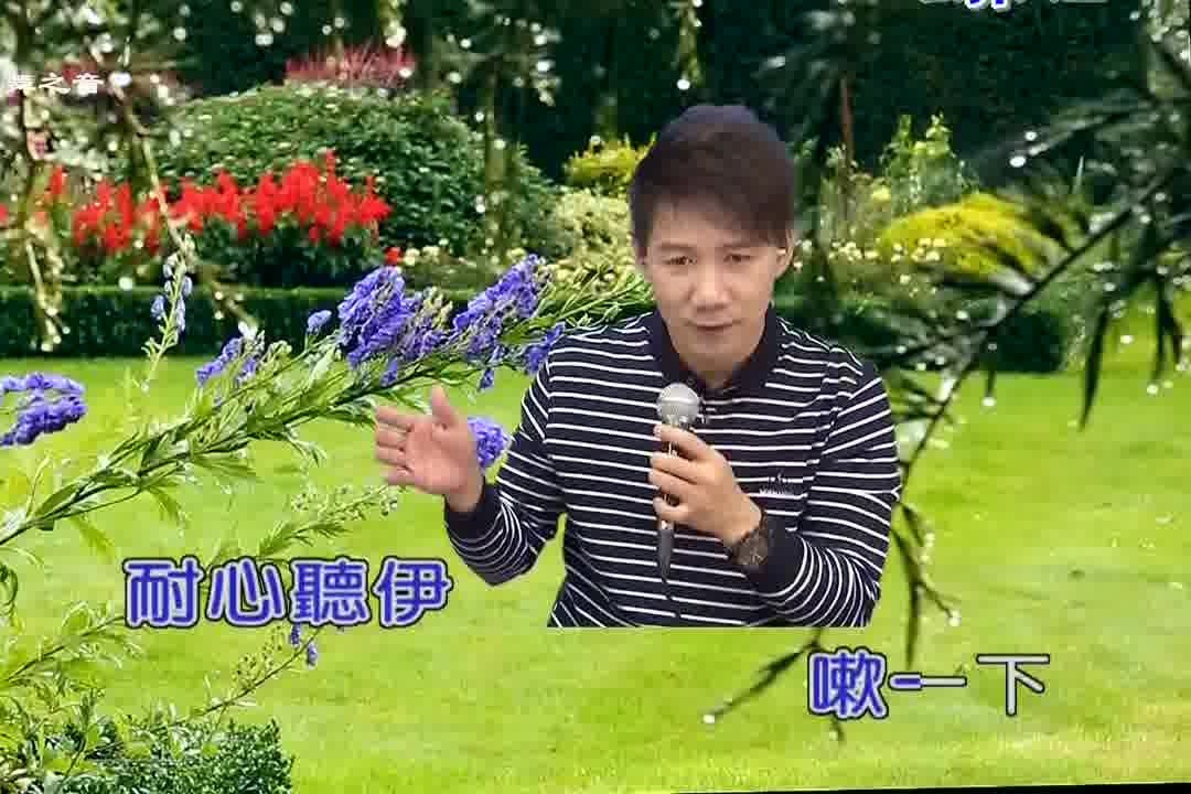 带你一起听好歌 翻唱歌曲 草地老阿伯