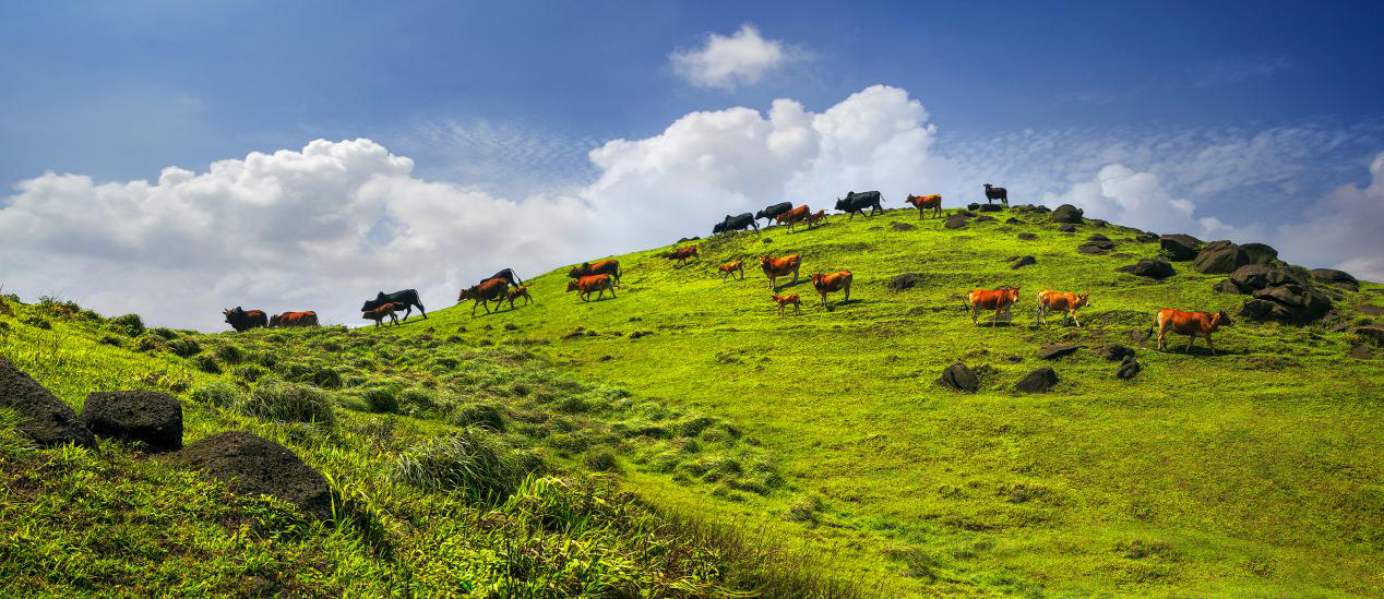 【世界长寿乡】上林康养之旅2日游,原来长寿是如此简单!