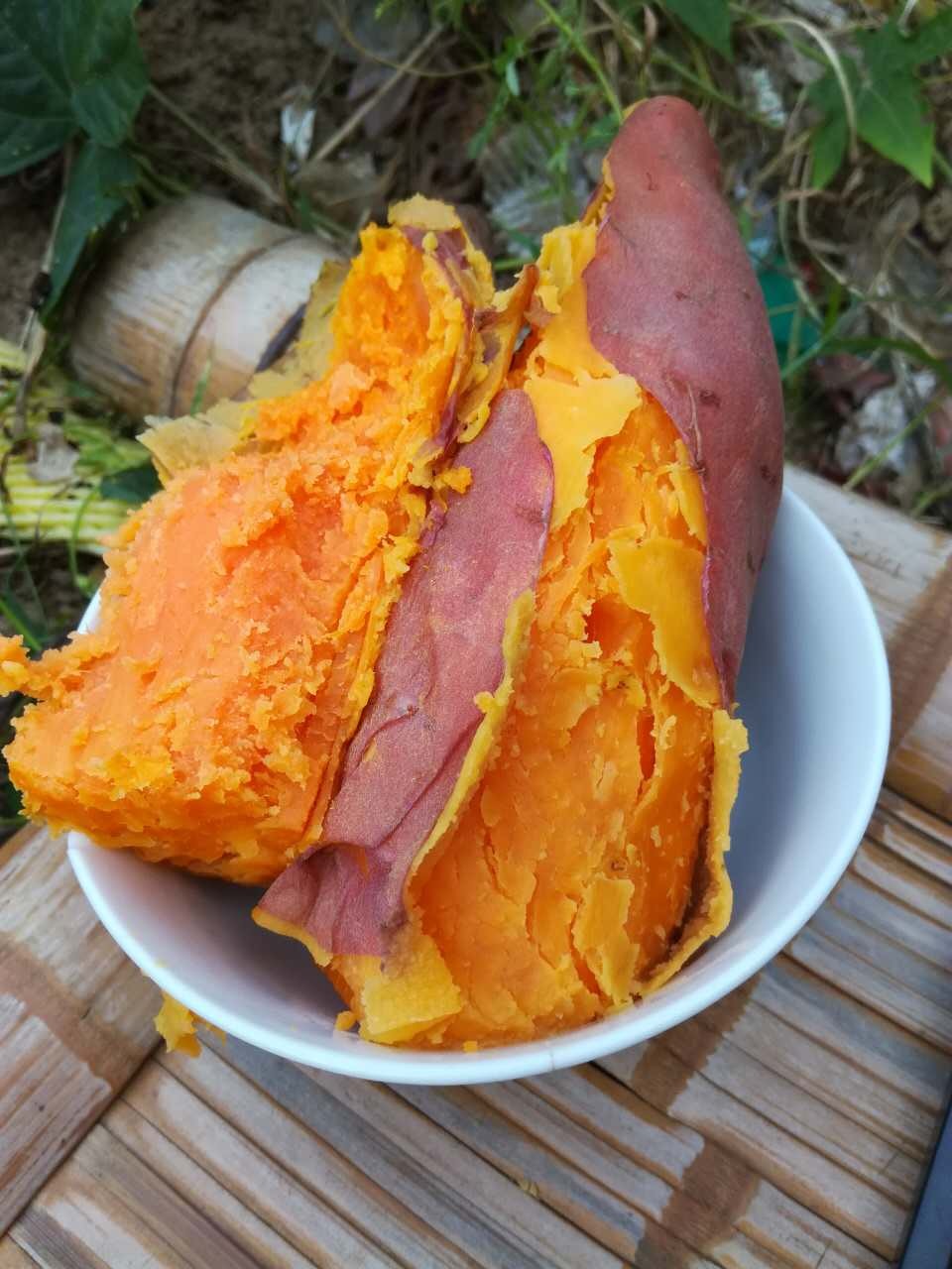 怀念童年的地瓜__凤凰网