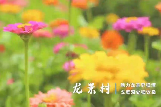 金昌宁远堡镇龙景村赏景寻味