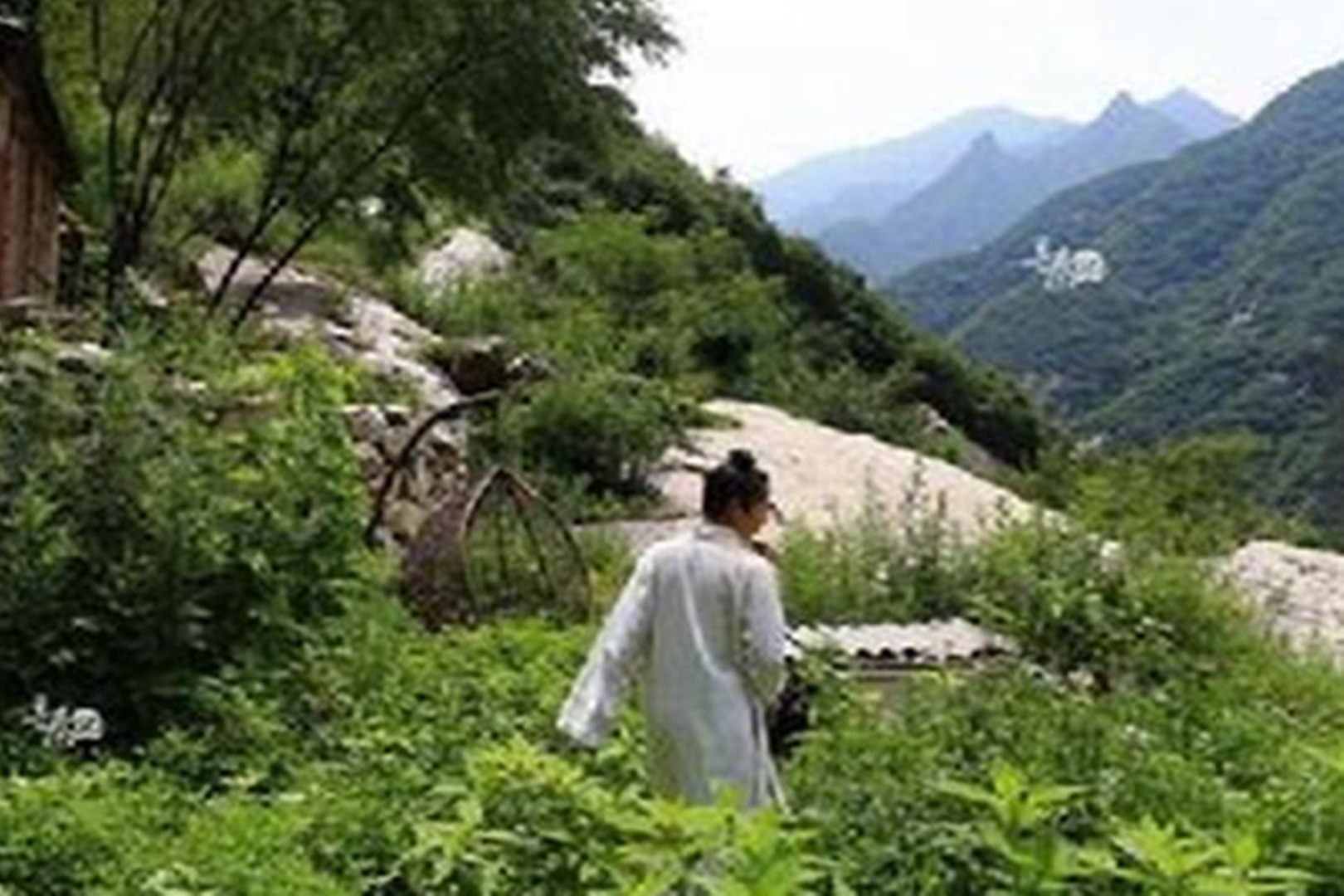 终南山第一隐士但侯大师独自隐居30多年再见时连父母都认不出