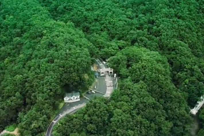 南阳内乡宝天曼景区，这里的原始森林，瀑布等你来游玩