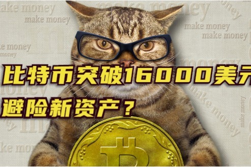 比特币突破16000美元！成为避险新宠？