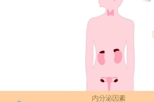 北京卫人孕育医院 - 内分泌因素