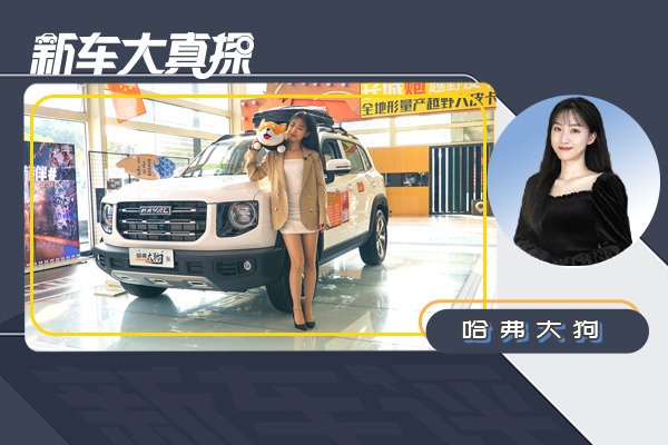 探店哈弗大狗：外表小狼狗 内心小奶狗，女主持爱上了！