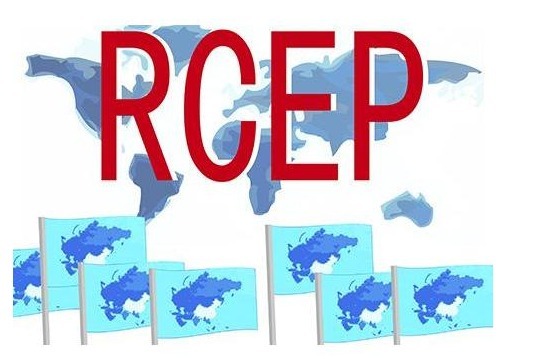 大热的RCEP能让「日货」变便宜？