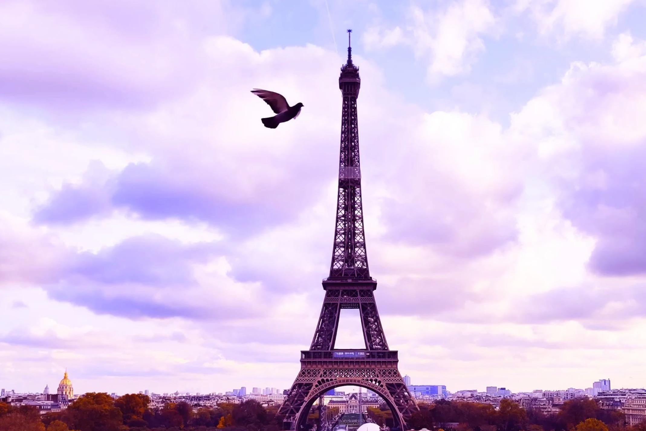 在法国巴黎旅游的情侣图片平面广告素材免费下载(图片编号:782176)-六图网