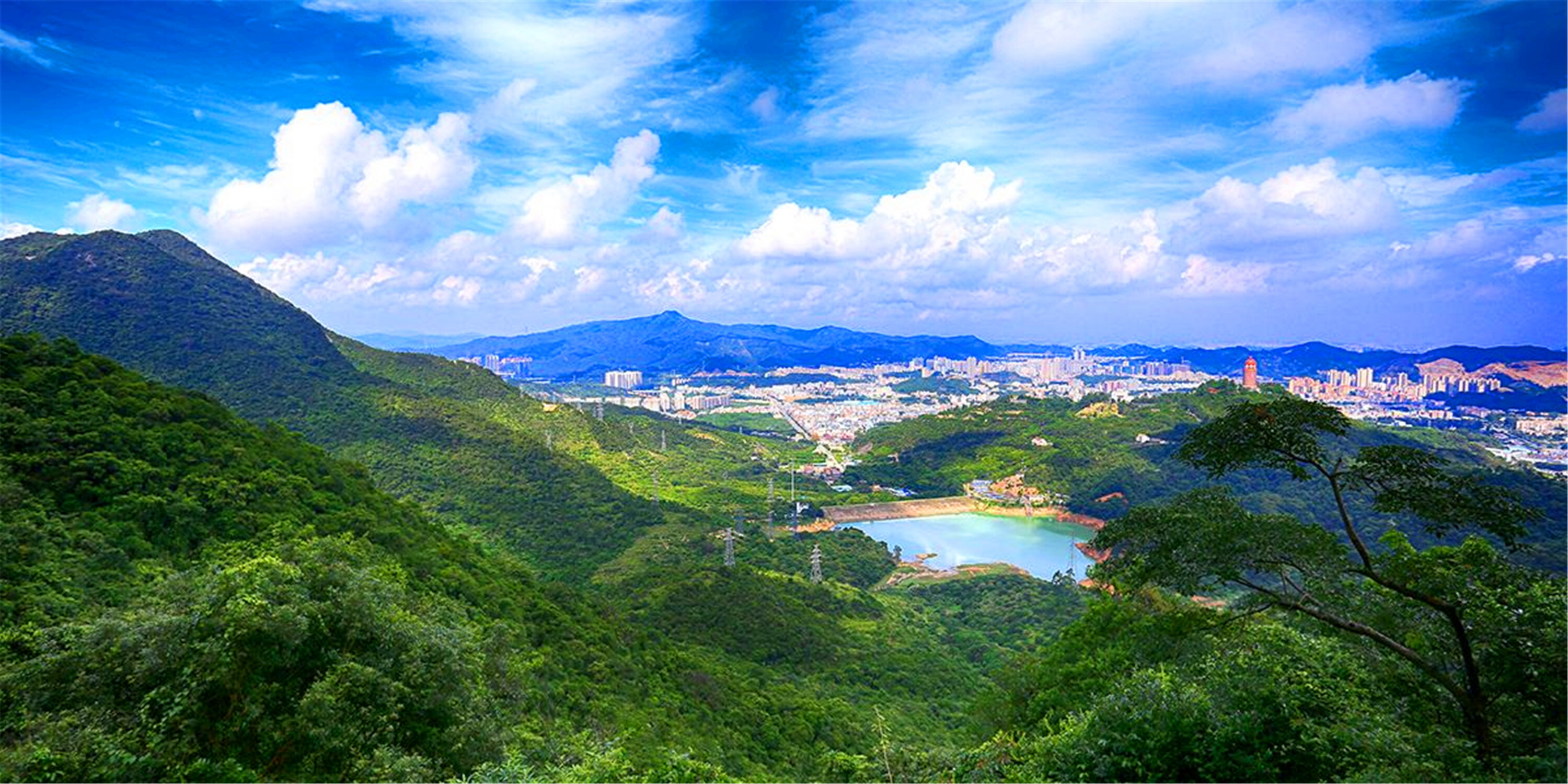 这里叫南天灵秀,康养福地,广东省"森林美景摄影地"__凤凰网