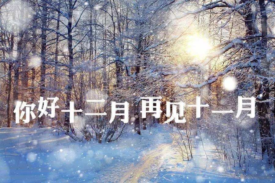 你好，12月