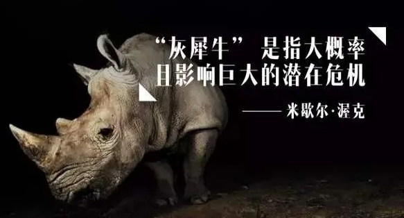 华发股份断臂求生,中小房企如何应对"灰犀牛"