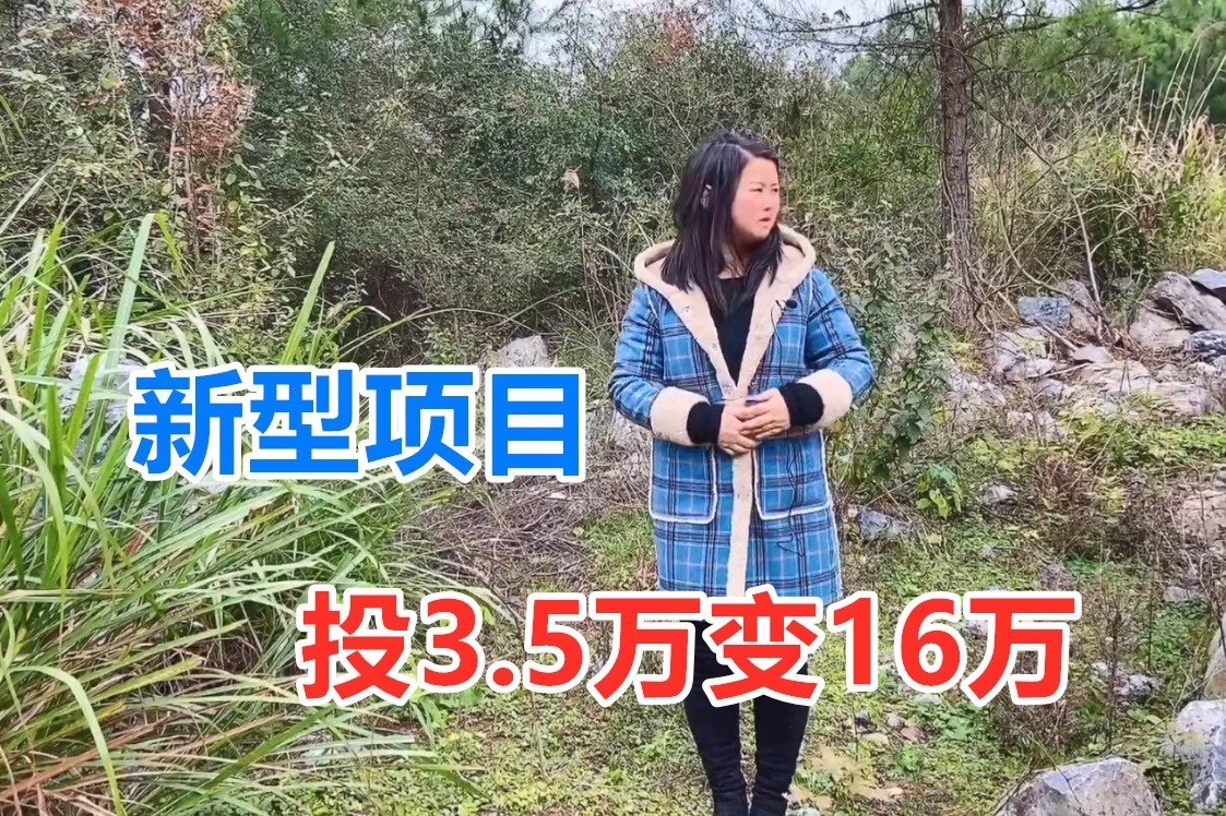 农村新型项目骗局案例(农村新型项目骗局案例分享)