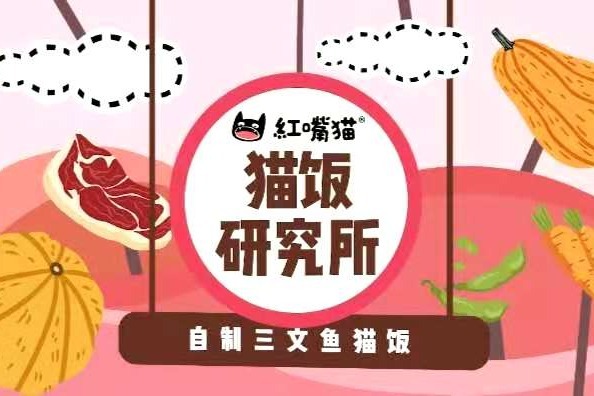 第3期：猫饭研究所自制三文鱼猫饭