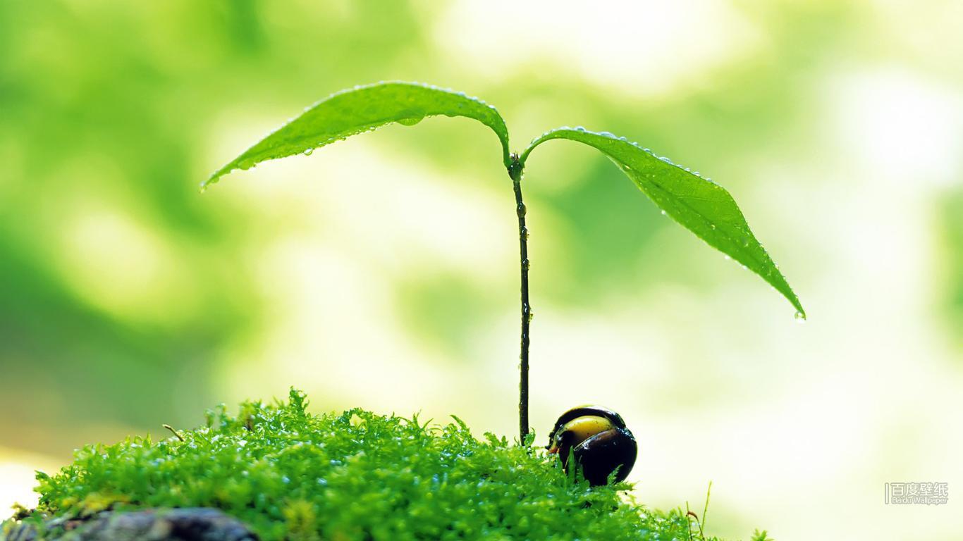 新年新气象,2021年顺顺顺