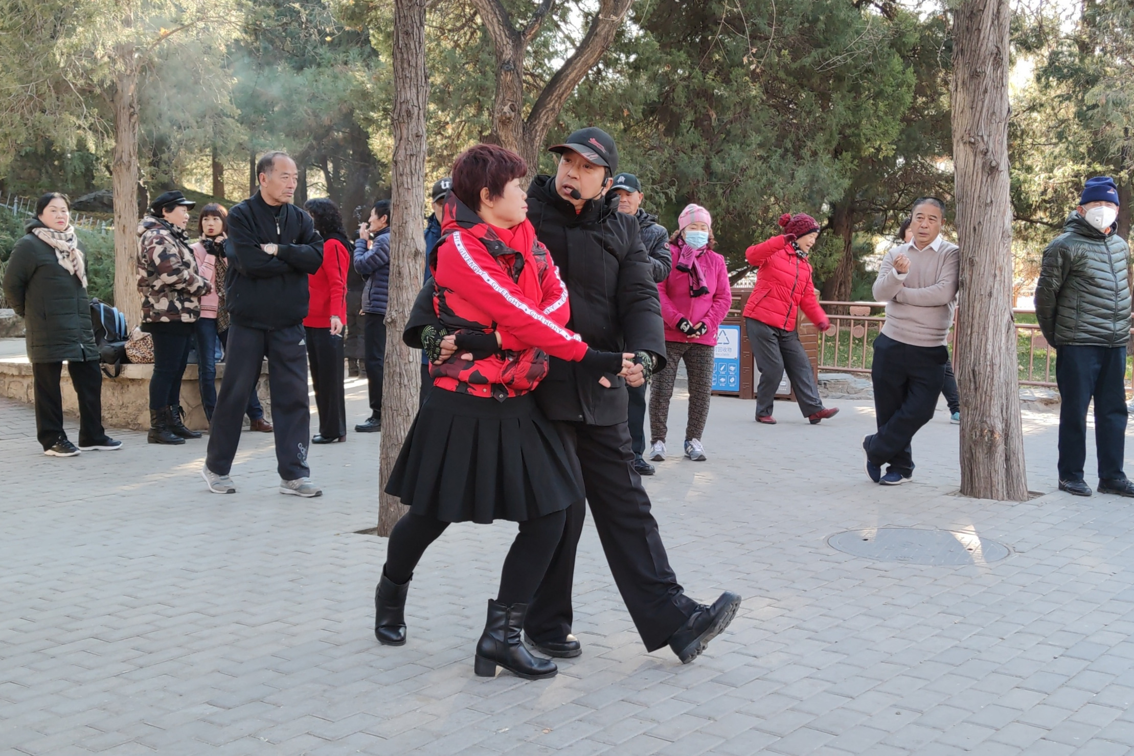 徐舞飞扬双人交谊舞吉特巴第五节环抱造型花分解教学