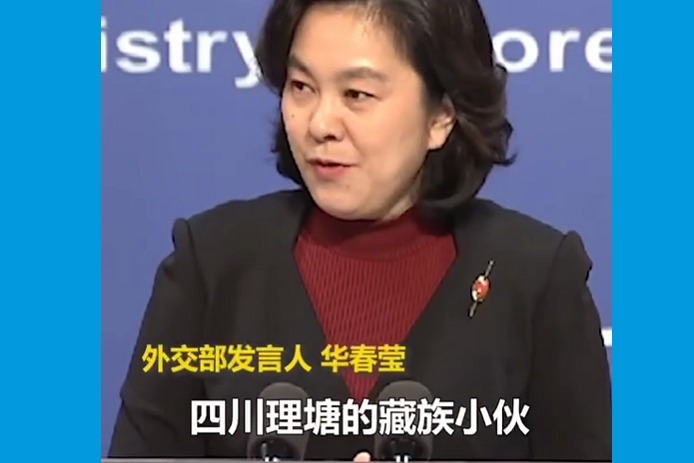 #华春莹提丁真#
