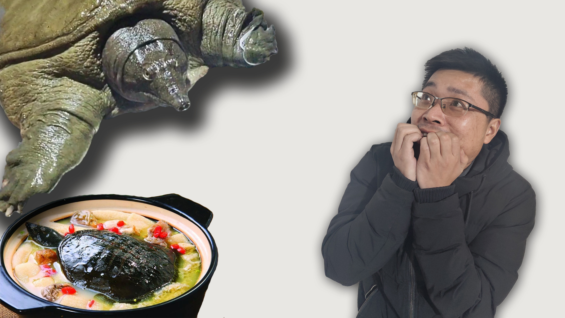 甲鱼之乡生态养殖太专业，6斤大鳖凶猛无比，如果做成菜那是真香_凤凰网视频_凤凰网