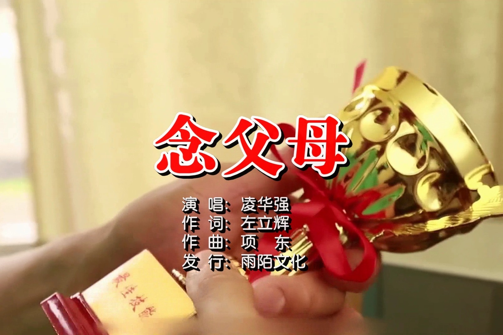 凌华强念父母mtv