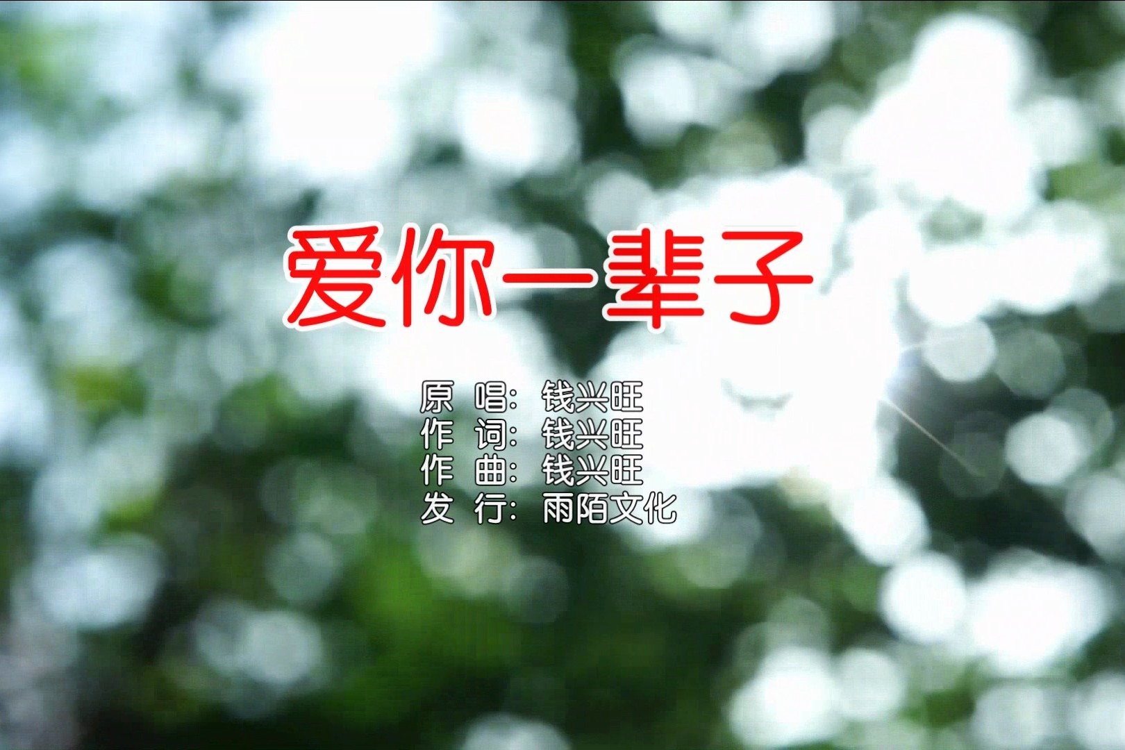 钱兴旺爱你一辈子mtv