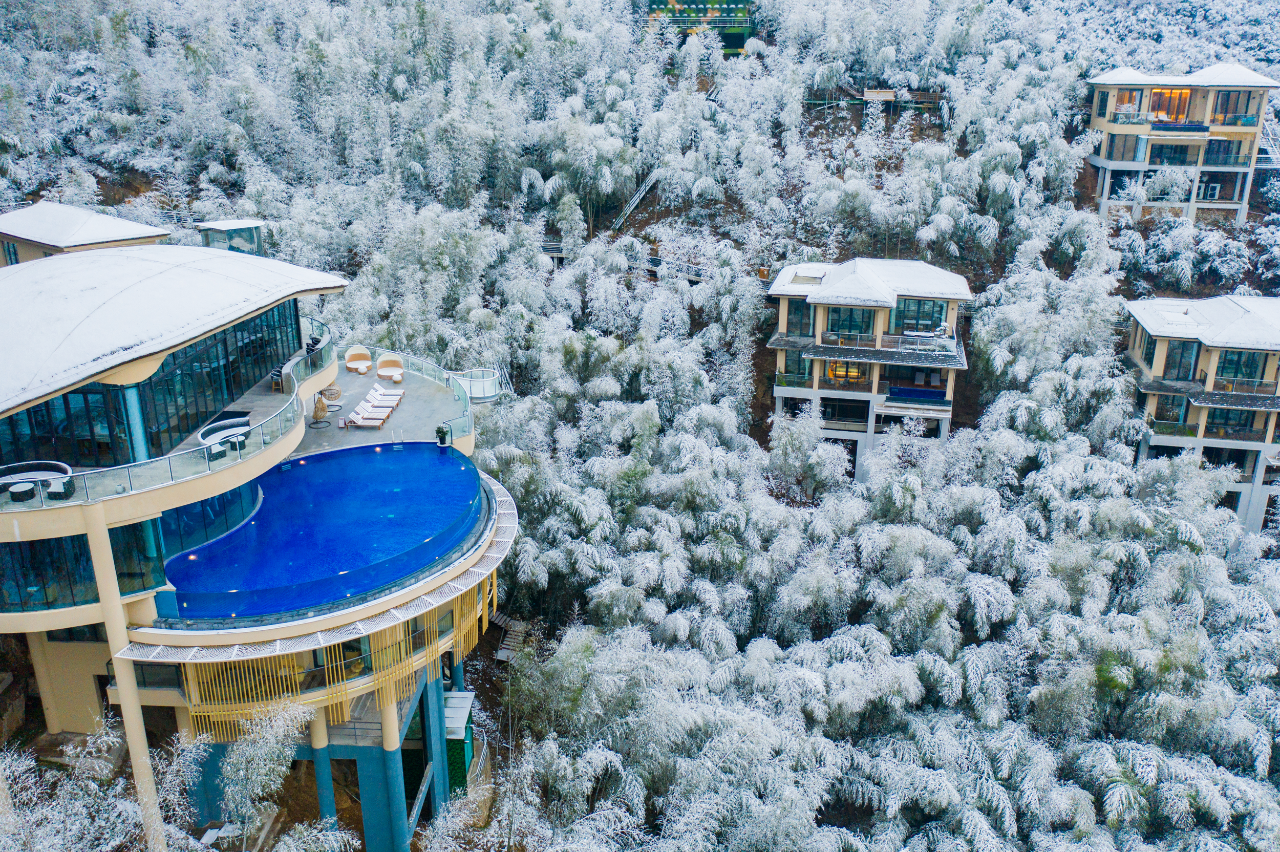 一夜落白雪满地,南山竹海的初雪如约而至啦