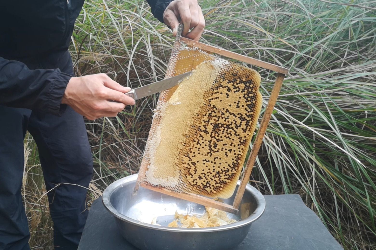 怎么样的蜂蜜才算成熟蜜？村夫把蜜蜂放到山上，终于有蜂蜜摇了