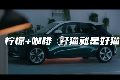 欧拉好猫，咖啡智能车控系统，人车交互，欢乐出行。