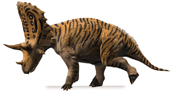 古生物学家在该地层中已经发现了8个属的角龙类恐龙,除了梅杜莎角龙