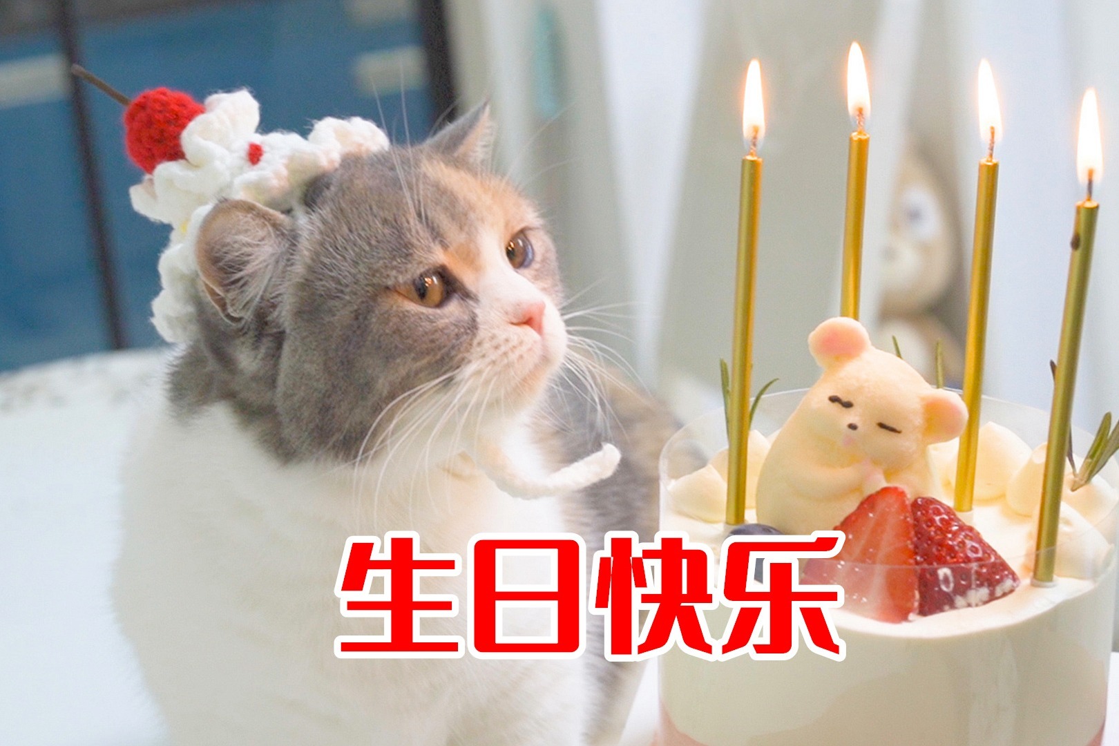 生日蛋糕猫咪图案,猫咪生日蛋糕 - 伤感说说吧