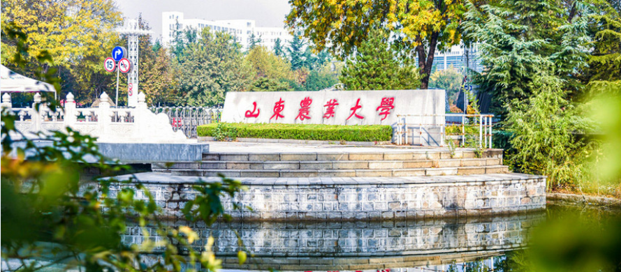 云之翼高性能云桌面 助力山东农大云教学与实训一体化平台建设!