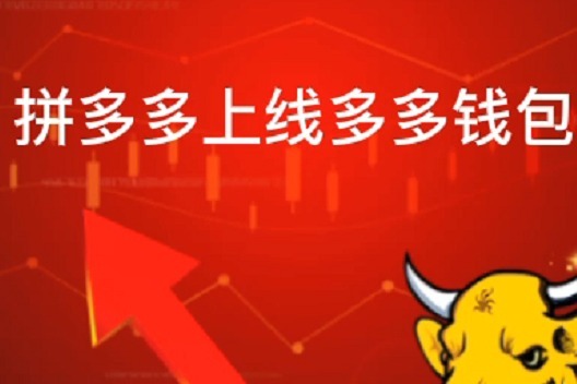 拼多多上线多多钱包